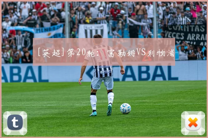[英超]第20轮：富勒姆VS利物浦