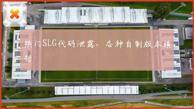 热门SLG代码泄露，各种自制版本横行