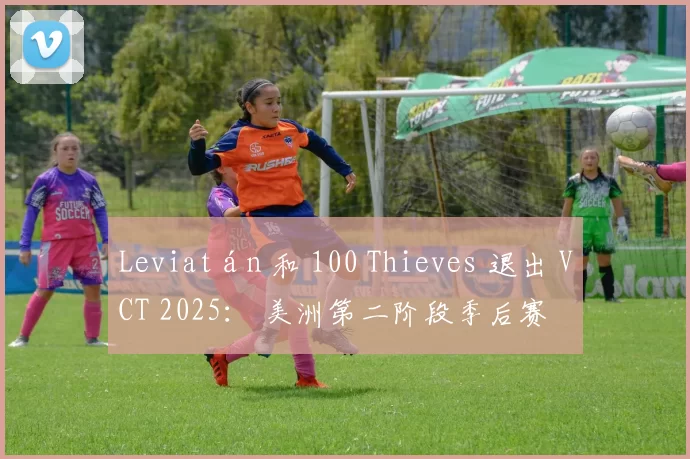 Leviatán 和 100 Thieves 退出 VCT 2025： 美洲第二阶段季后赛