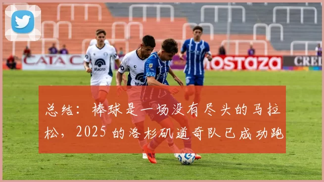 总结：棒球是一场没有尽头的马拉松，2025 的洛杉矶道奇队已成功跑到了巅峰的终点。