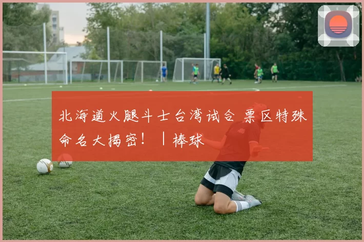 北海道火腿斗士台湾试合 票区特殊命名大揭密！｜棒球